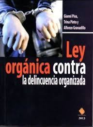 TÈCNICAS DE LA INVETIGACIÒNES APLICADAS A LOS DELITOS DE DELINCUENCIA ORGANIZADA