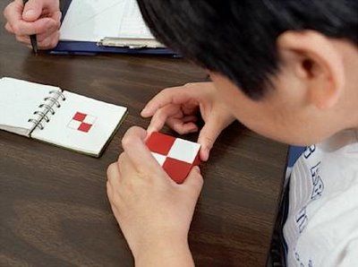 características de los test individuales
y colectivos de inteligencia