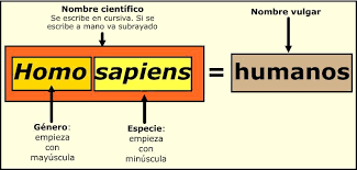 Los seres vivos y su clasificación taxonómica