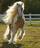 lmjj20009525