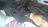 Ifeoma Ezepue