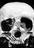edgarperaltagall