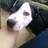 cesar89_two