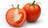Tomato Adams