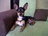 ginna_16_