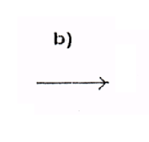 Image for option B