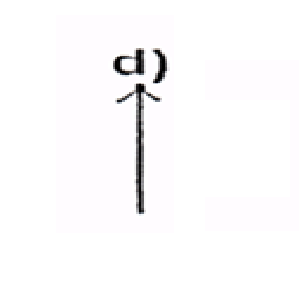 Image for option D