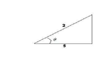 Image for option D