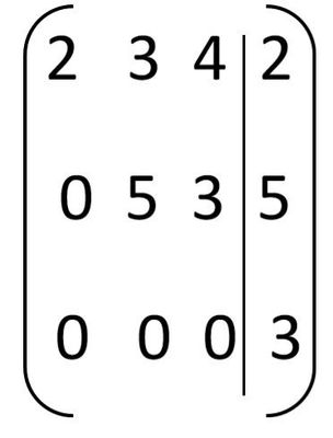 Image for option B