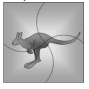 Image for option A