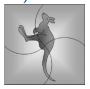Image for option B