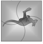 Image for option C