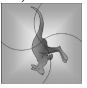 Image for option D