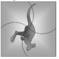 Image for option E