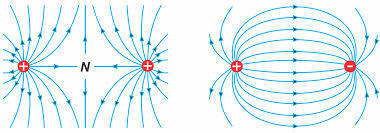 Image for option C