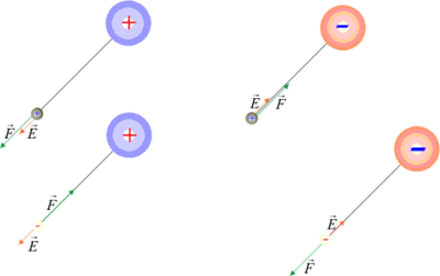 Image for option D