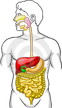 Image for option A