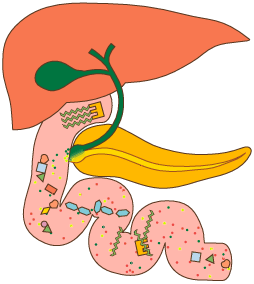 Image for option B