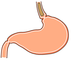 Image for option D