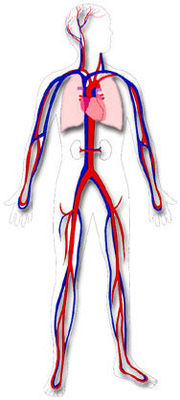Image for option A