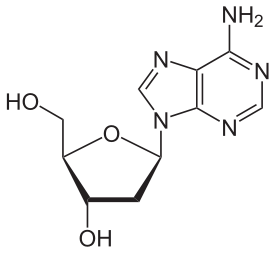 Image for option A