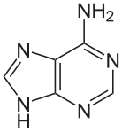 Image for option B