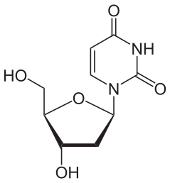 Image for option D
