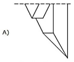 Image for option A