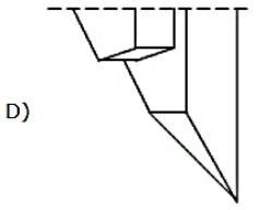 Image for option D