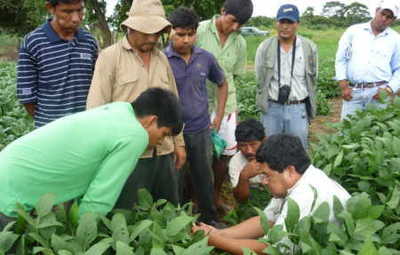 Image for option A
