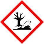 Image for option B