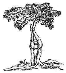 Image for option A