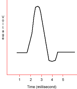 Image for option B