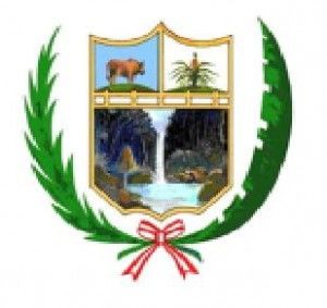 Image for option A