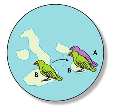Image for option C