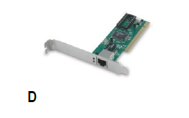 Image for option D