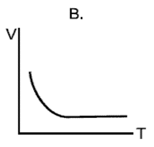 Image for option B