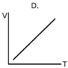 Image for option D