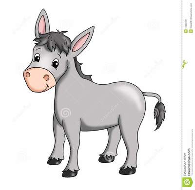 Image for option B