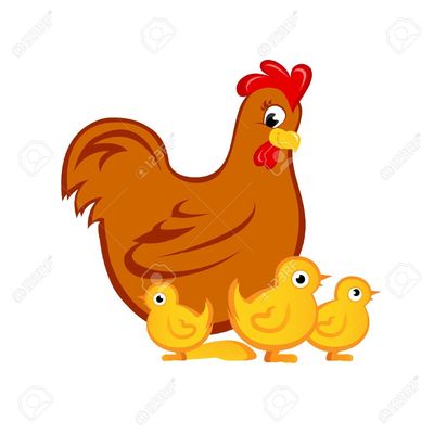 Image for option C