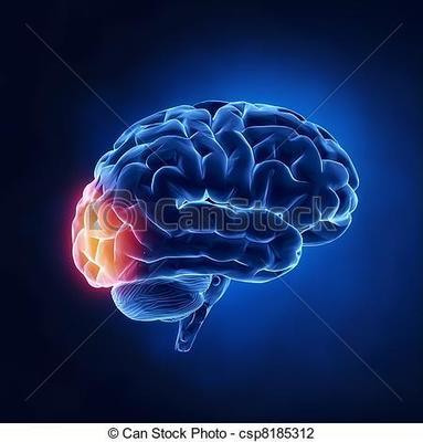 Image for option C