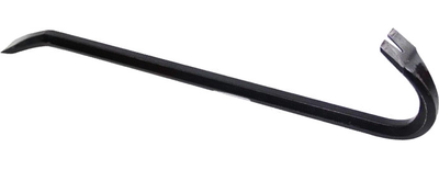 Image for option D