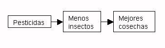 Imagen de la opción B