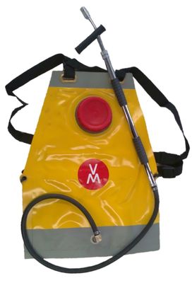 Image for option D
