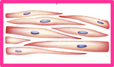 Image for option B