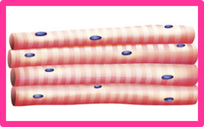 Image for option C
