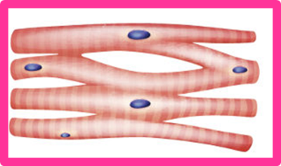 Image for option D