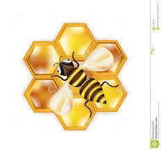 Image for option C