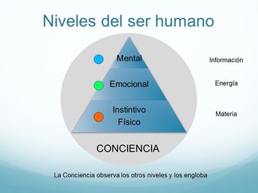1. Protocolo de una sesión con Biofotón