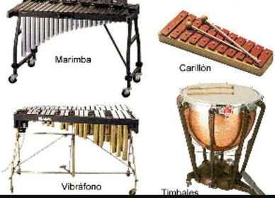 IMSTRUMENTS DE PERCUSIO
